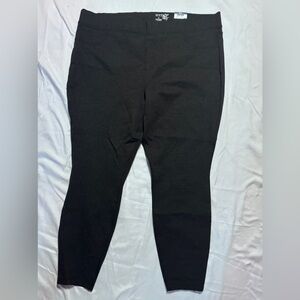 NWT women’s dark gray pull on dress trousers Terra and Sky plus size 2X